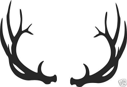 71+ Antler Clip Art | ClipartLook