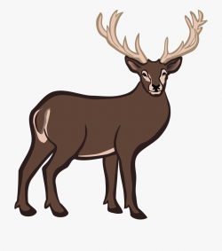 Elk Clipart Deer Rack - Buck Deer Clipart #64672 - Free ...
