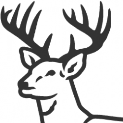 Free Buck Cliparts, Download Free Clip Art, Free Clip Art on ...