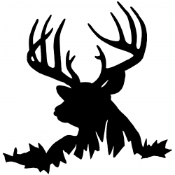 Images For > Mule Deer Silhouette Clip Art | Hunting decal ...