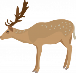 Download for free 10 PNG Deer clip art transparent ...