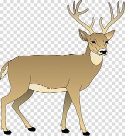 Download for free 10 PNG Deer clip art transparent ...