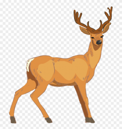 Baby Deer Clip Art Image - Vector Deer - Png Download (#1215528 ...