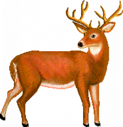 ▷ Deers: Animated Images, Gifs, Pictures & Animations - 100% FREE!