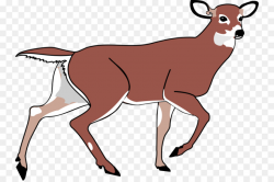 Deer, Illustration, Cartoon, transparent png image & clipart free ...