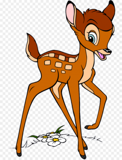 Thumper Deer png download - 800*1176 - Free Transparent Thumper png ...