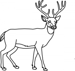Deer Head Clipart Black And White | Free download best Deer Head ...