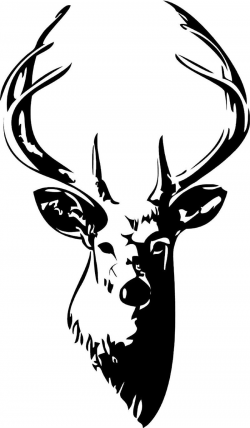 Buck Head Vinyl Wall Art Decal - ClipArt Best - ClipArt Best ...