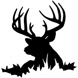 65+ Buck Clipart | ClipartLook