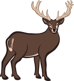 Buck Deer Clipart | Free download best Buck Deer Clipart on ...