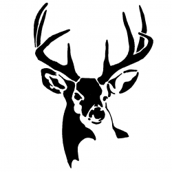 Buck deer clipart » Clipart Portal