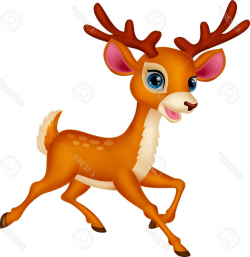 Cartoon Pictures Of Deer | Free download best Cartoon Pictures Of ...