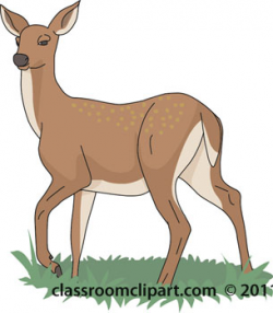 Doe deer clipart - Cliparting.com