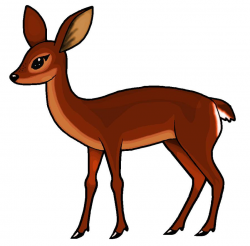 Doe Clipart by MisterBug on DeviantArt