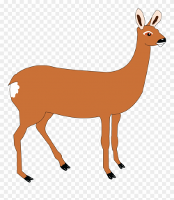 Free Clipart Of A Doe Deer - Png Download (#254532) - PinClipart