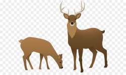 Deer Elk png download - 8000*6492 - Free Transparent Deer png Download.