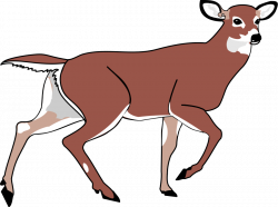 Deer clip art free clipart images - ClipartAndScrap