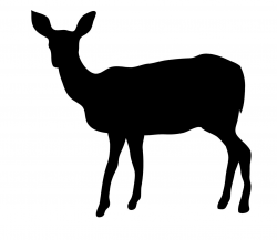 Free download Doe Silhouette Clipart for your creation. | Baby O\'s ...