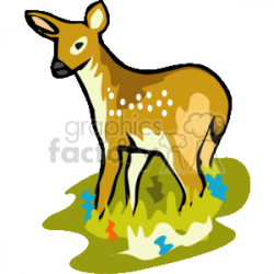 White-tailed deer fawn standing in tall grass clipart. Royalty-free clipart  # 131200