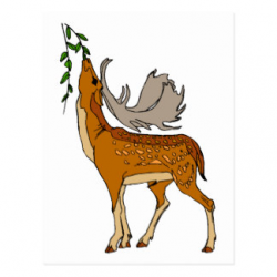 Cartoon Pictures Of Deer | Free download best Cartoon Pictures Of ...