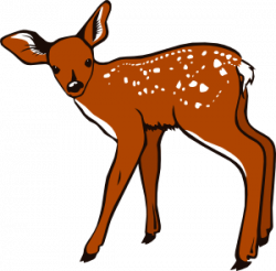 Fawn Clip Art at Clker.com - vector clip art online, royalty free ...