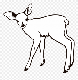 Deer Clipart Fawn - Doe Coloring Page - Png Download (#253800 ...