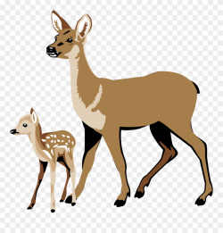 Whitetail Deer Clipart - Deer And Fawn Clipart - Png Download ...