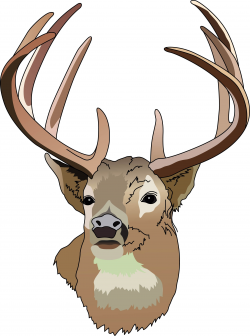 Deer hunting clipart free 2 - WikiClipArt