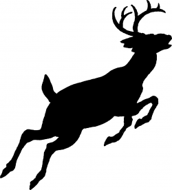 White-tailed deer Silhouette Red deer Clip art - Free Deer Pictures ...
