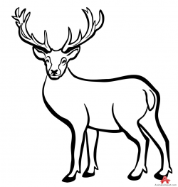 Free Deer Sitting Cliparts, Download Free Clip Art, Free Clip Art on ...
