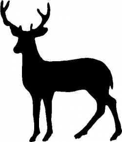 Deer Outline Clipart Best | Fall Cookie Ideas | Deer outline, Deer ...