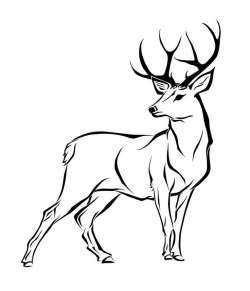 Deer Black And White Clipart | Free download best Deer Black And ...