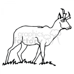 black and white outline of a deer clipart. Royalty-free clipart # 129255