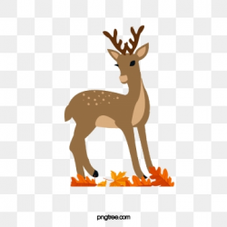 Deer Clipart Images, 890 PNG Format Clip Art For Free Download | Pngtree