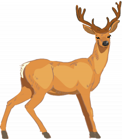 68 Free Deer Clip Art - Cliparting.com