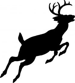 Free Deer Run Graphics, Download Free Clip Art, Free Clip Art on ...