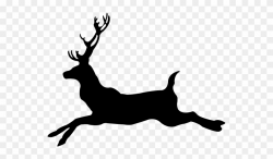 Deer Running Buck Clipart - Png Download (#2415263) - PinClipart
