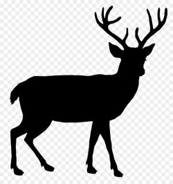 Deer, transparent png image & clipart free download