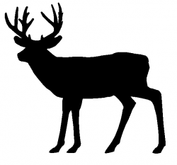 Free Free Deer Silhouette, Download Free Clip Art, Free Clip Art on ...