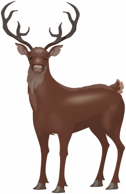 Red Deer Stag PNG Clip Art Image | Gallery Yopriceville - High ...