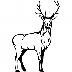 Free White Stag Cliparts, Download Free Clip Art, Free Clip Art on ...