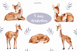 Cute baby Deer Watercolor clipart Baby animals