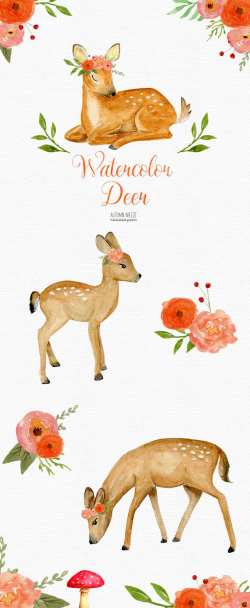watercolor Baby deer clipart , watercolor clipart, watercolor deer ...