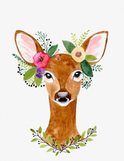 Flowers And Deer, Deer Clipart, Fawn, Deer PNG Transparent Image and ...