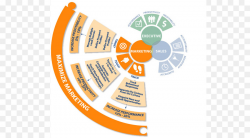 Marketing automation Computer Software Customer relationship ...