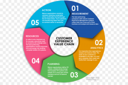 Brochure Background png download - 600*600 - Free ...