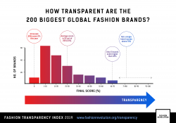WHY TRANSPARENCY MATTERS - Fashion Revolution : Fashion ...