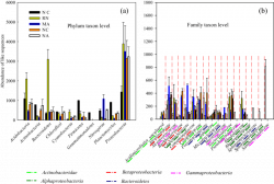 Taxa with high taxonomic ranks define building mesocosms of ...