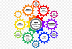 Records Management Text