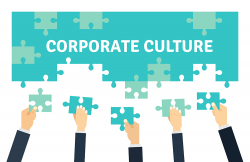 4 Reasons You Need a Transparent Company Culture - HR Daily ...